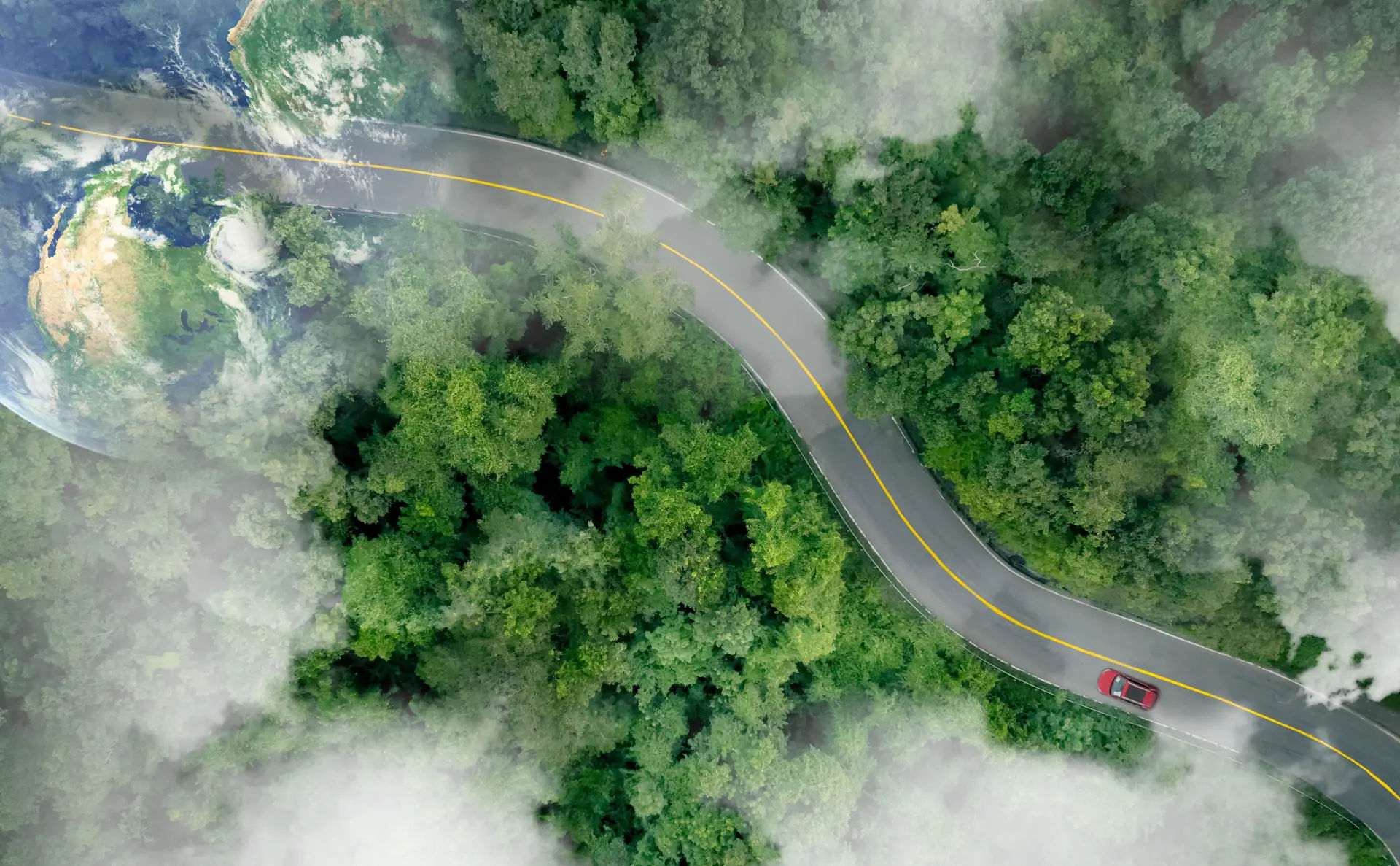 Rainforest sustainability